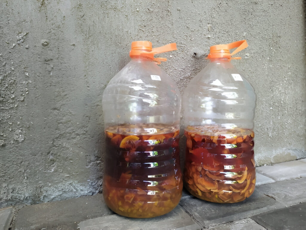 eco enzyme