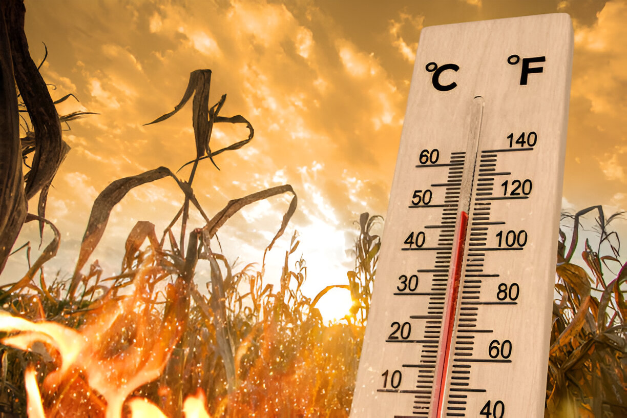 global warming