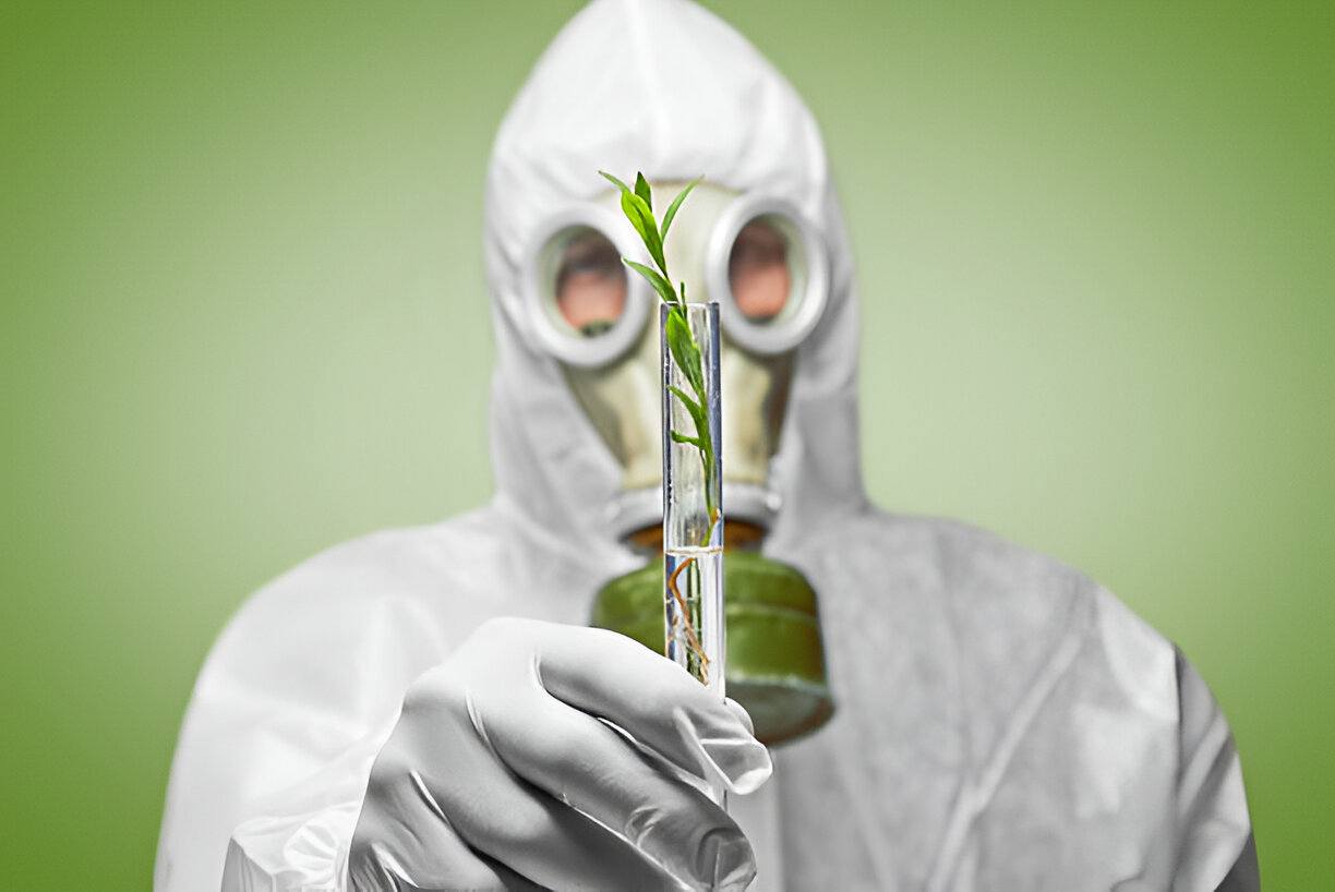 bioremediasi